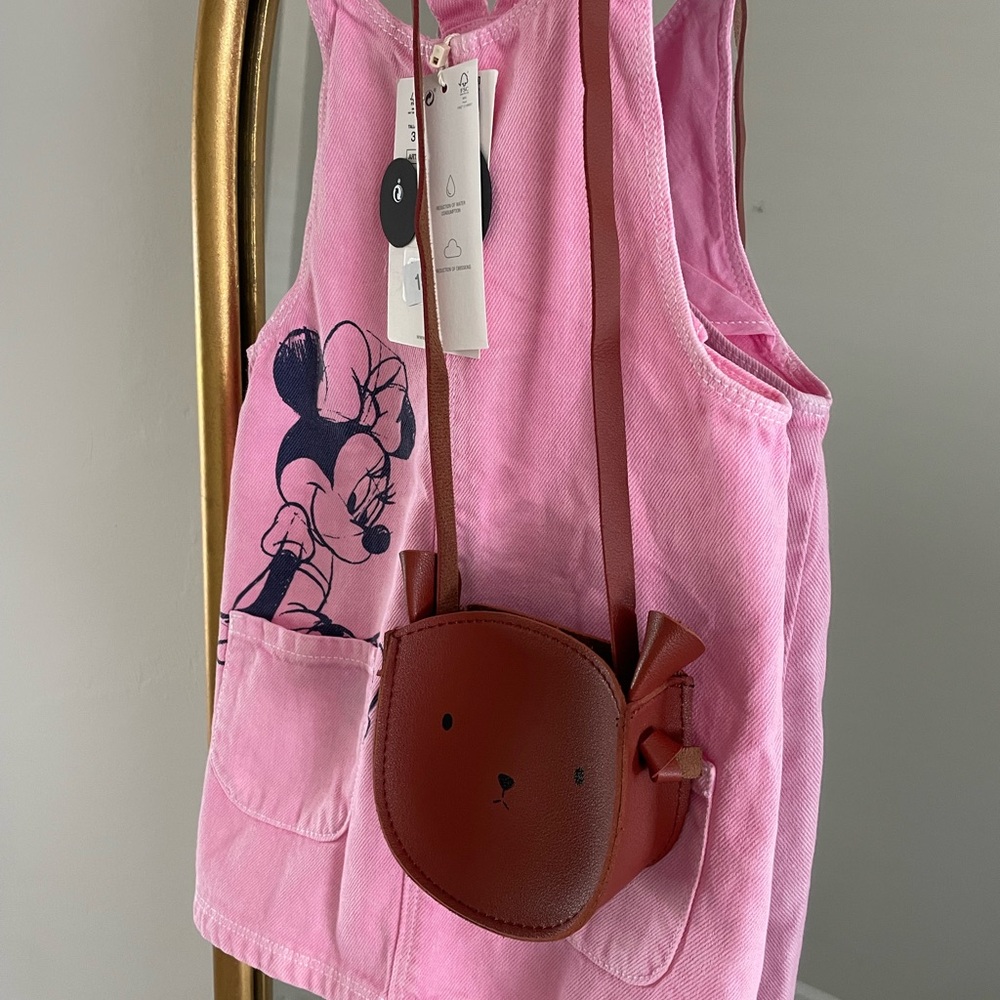 Brown Bear Bag
